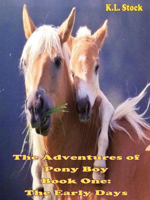 cover image of The Adventures of Pony Boy, Book One